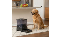 Timed Pet Food Dispenser Voice Module Large Capacity Pet Feeder Powered Scheduled Food Dispenser for Home