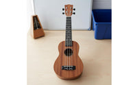 21 Inch Ukulele Music Education Beginner Ukulele Portable Small Guitar for Home Practice