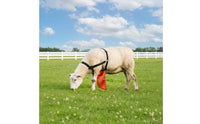 Anti-Breeding Apron Long-Lasting Breeding Control Apron Reliable Practical for Breeders, Farms, Pastures