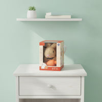 Stuffed Bunny with Carrot Giftable Stuffed Rabbit with Box Stuffed Rabbit Soft Stuffed Bunny Soft for Toddlers, Birthday Gifts