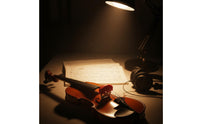 5 Prong Violin Mute Reduces Volume Violin Practice Mute Portable Sound Dampener for Students