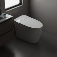 Smart Bidet Toilet Self-Cleaning Nozzle Voice Control Toilet Bathroom Fixture Heated Seat Night Light