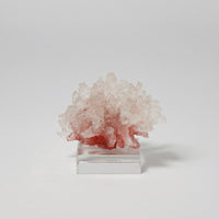 Coral Sculpture with Acrylic Base Tabletop Coral Sculpture Translucent Resin Ornament with Base for Living Room, Office Desk