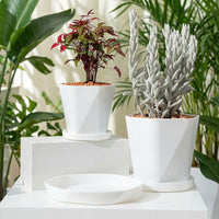 Plant Saucers and Drip Tray Bundle of 66, Heavy Duty Plant Pot Saucer for Indoor Use, Nordic Minimalist Style Trays Set 66pk