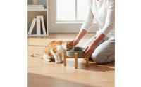 Cat Food Water Bowl Anti-Tip Pet Bowl Easy to Clean Feeding Station fit cats, Small Pets