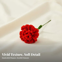 Pipe Cleaner Carnation Bright Colors Chenille Stem Flower Thick and Soft Handmade Soft-Textured Carnation for Family Appreciation Day