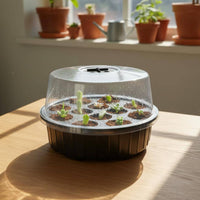 3 Pieces Moisture Retention 13-Hole Tray Heat Preservation Round Seedling Tray Clear Dome Cover Covered Propagation Box Reusable for Indoor Gardening, Balcony, Greenhouse
