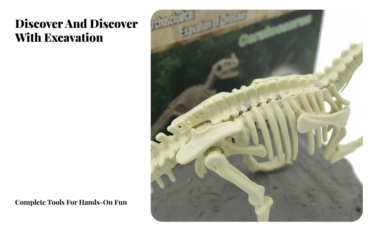 Dinosaur Excavate Kit DIY Dinosaur Excavate Kit Educational Dino Excavation Set for Children, Students, Classroom, Birthday Party, children's Room