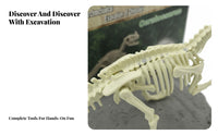 Dinosaur Excavate Kit DIY Dinosaur Excavate Kit Educational Dino Excavation Set for Children, Students, Classroom, Birthday Party, children's Room