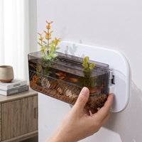 Plant Pots for Home Decor and Indoor Plants, Wall Mounted Flower Vase for Home Office, Propagation Station, Wall Hanging Light Luxury Style