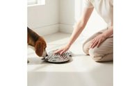 Stainless Steel Slow Feeder Bowl Dishwasher Safe Slow Feeder Plate Long-Lasting