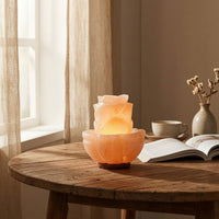 Mineral Lamp with Wooden Base Lotus-Shaped Mountain Mineral Lamp Carved Ambient for Bedside, Bedroom