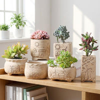 succulent planters
