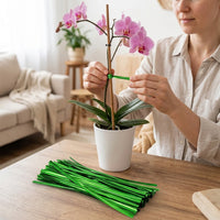 Plant Support Stakes Orchid Stand Garden Flower Branch Clips Vine Climbing Fixings