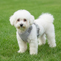 Vest Style Harness for Small Dogs and Cats, Polyester Dog Vest Harness, Adjustable Puppy Harness for Outdoor Walks