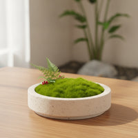 Bowl Planter Low-Profile Shallow Planter Stone-Look Decorative Pot for Living Room, Reception Desk, Hotel Reception Area