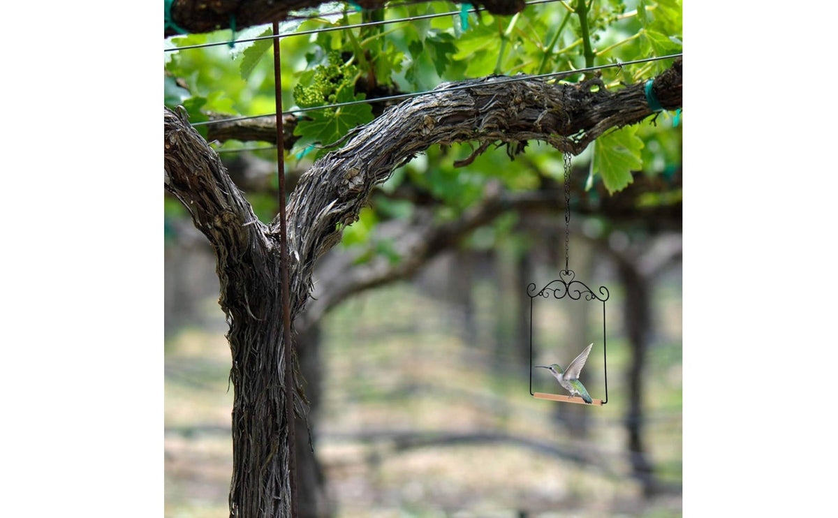 Wrought Steel Avian Swing Portable Metal Frame Bird Swing Easy to Hang Garden Decor for Hummingbirds, Outdoor, Backyard