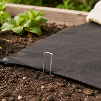 ground stakes
