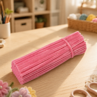 DIY chenille stem craft kit