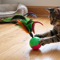 Interactive Tumbler Feather Cat Toy for Indoor Cats