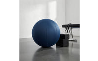 Exercise Ball Cover Snug Exercise Ball Cover with Zipper Preserving for Fitness Enthusiasts