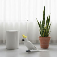 Realistic Design Simulation Parrot Vibrant Colors Bird Figurine Handmade House Decoration for Living Room