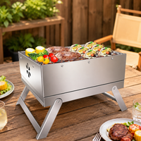 Portable Charcoal Grill Pizza Oven, Stainless Steel Grill with Pizza Attachment, Foldable for Camping & Garden, 25x31cm
