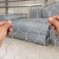 Hexagonal Wire Dog Fence, Galvanized Chicken Wire Mesh, 70x90mm Opening, Low Carbon Steel Silver Dog Fence for Livestock