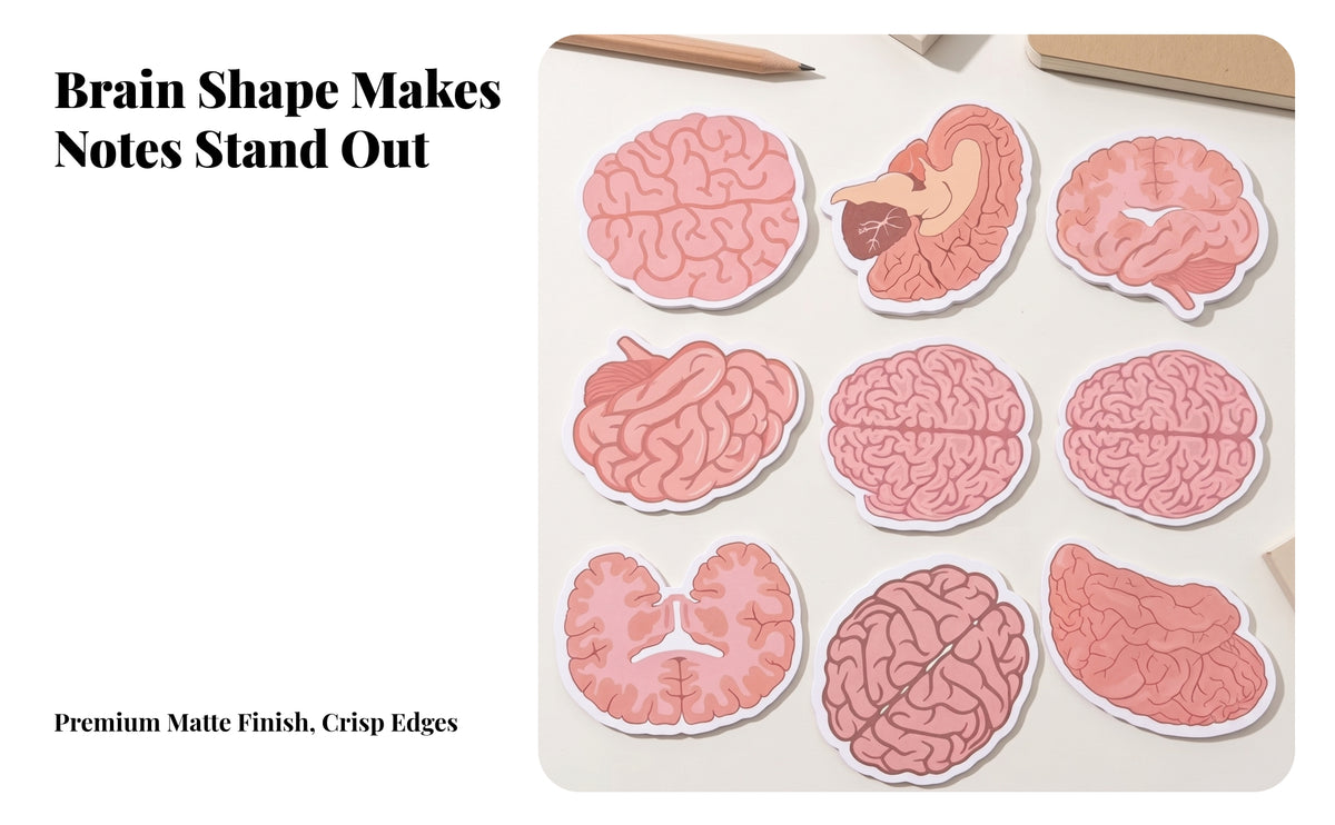 8 Pieces Brain-Shaped Sticky Notes | Compact Pocket Size, Reusable Backing, Brain Sticky Notes, for Planners