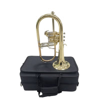 Flugelhorn with Case Rich for Beginners, Rehearsals