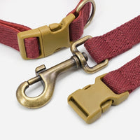 Dog Leash and Collar Set, with Reflective Material, 2.1m Long Leash, Size S, for Daily Walks, Also for Night Use