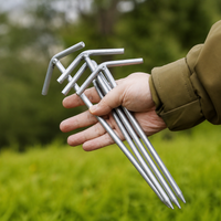 tent stake