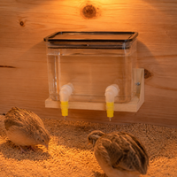 pet feeder and waterer set