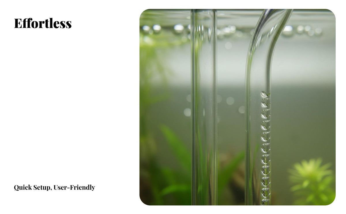 Aquarium Inflow Outflow Pipe High Clearness Canister Strainer Elegant Design Aquarium Surface Skimmer for Aquascapers, Planted Tank