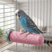 Bird Cage Perch Flat Stand, Sand Coated Resin Parrot Perch for Grinding Beak and Claw, Multiple Bird Perches in One for Cockatiels Conures