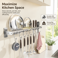 Kitchen Wall Rack, Silver Alloy Double Rod Utensil Rail with Movable Hooks, Wall Mounted Utensil Holder for Pots & Lids