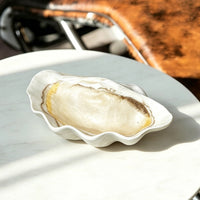 Shell Tray Shallow Home Decor Decorative