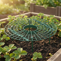 Keeps Berries Above Ground Strawberry Growing Rack Sturdy Plastic Strawberry Growing Frame Sturdy Design Fruit Plant Holder Reusable for Potted Plants