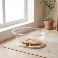 Space Capsule Cat Bed Transparent Cat Bed with Toy Stylish Nest for Kittens