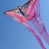 Long Tail Kite Beginner Friendly Vibrant Colors for Family Outings