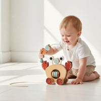 Fine Movement Skills Wooden Crab Pull Toy Hand-Eye Coordination Crab Bead Maze Toy Sensory Development Wooden Bead Maze Educational for Playroom