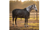 Anti Horse Sheet Adjustable Size Mesh Fly Sheet Lightweight Animal Cover for Outdoor