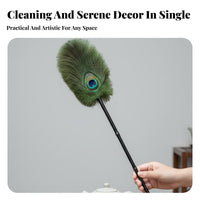 Peacock Feather Brush Decorative Fine cleanseing Brush Soft and Nonscuff