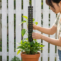 Climbing Plant Support, Stackable Monstera Plant Pole with Water Retention, Fillable Plant Support for Mature Indoor Plants