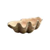 Shell Tray Coastal Tray Artistic Organizer for Coffee Table