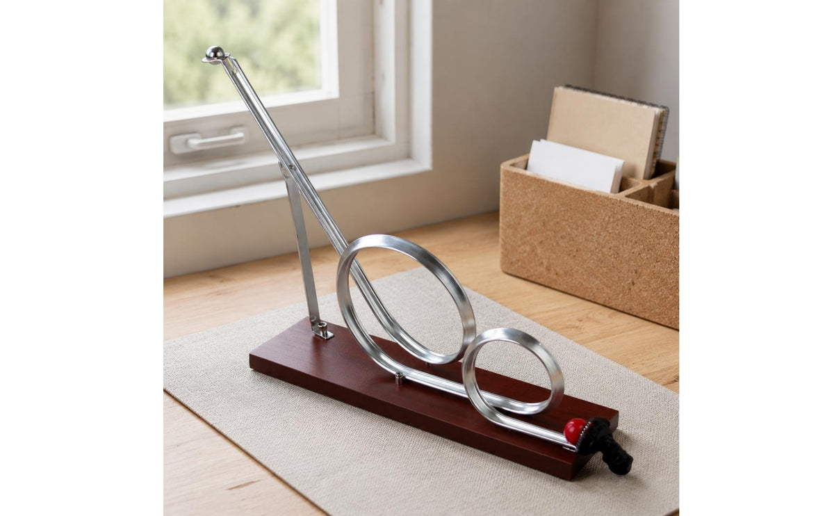 Physics Roller Coaster Model Teaching Centrifugal Force Demonstration Classroom Use Metal Ball Track for Home School