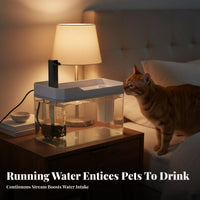 Large Capacity Automatic Pet Water Fountain Quiet Operation Cat Water Fountain Easy to Clean for Cats, Dogs