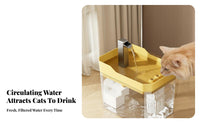 Easy to Clean Large Cat Potty Anti-Splash Enclosed Cat Litter Box Odor Control for Cats