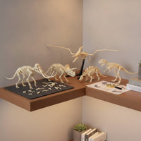 6 Pieces Dinosaur Skeleton Toys Figures Kit Translucent Dinosaur Skeleton Kit Archaeology Model for Kids