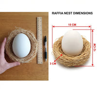 Easter Egg Birds Nest, Paintable Easter Egg Realistic Design Garden Nature Art DIY Decorative Egg Smooth Plain White Simulation Eggshell for Crafters, Adults, Art Projects, Home Decor
